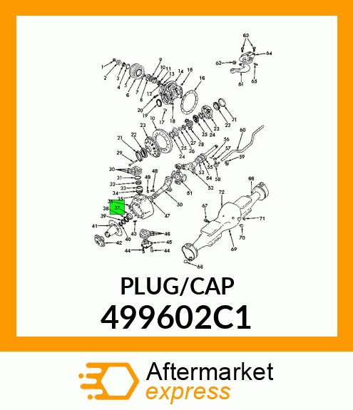 PLUG/CAP 499602C1