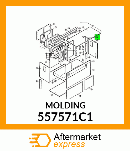 MOLDING 557571C1