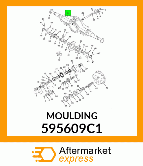 MOULDING 595609C1