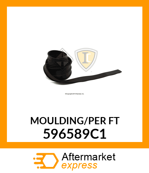 MOULDING/PERFT 596589C1