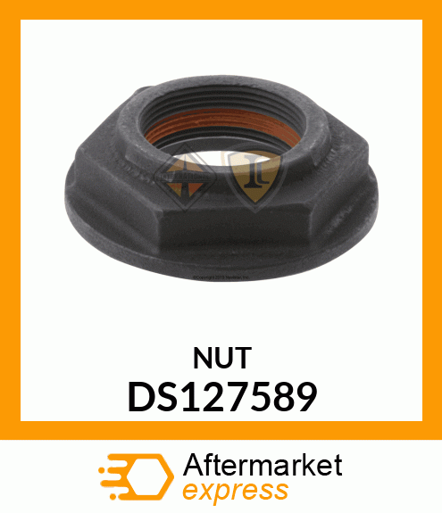 NUT DS127589