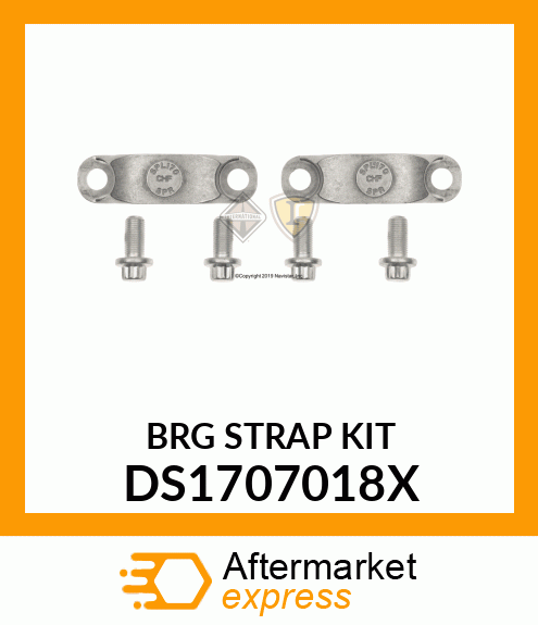 BRG_STRAP_KIT DS1707018X