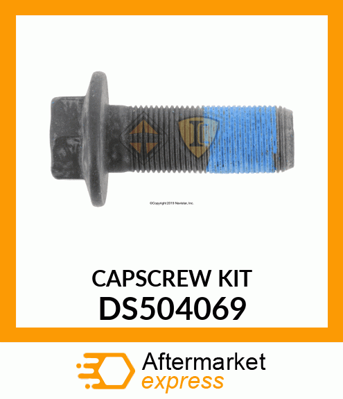 CAPSCREW_KIT DS504069