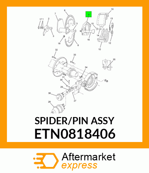 SPIDER/PINASY ETN0818406