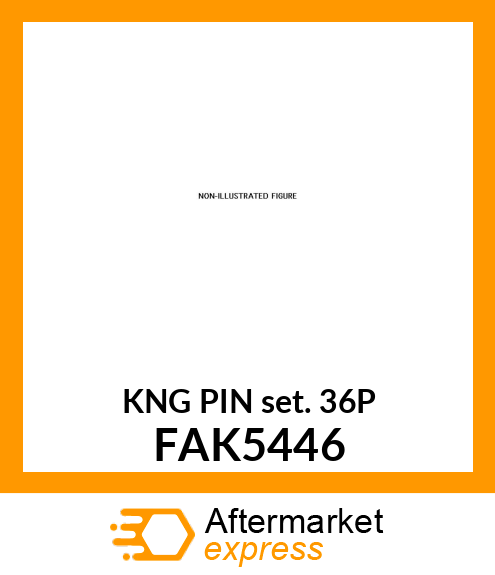 KNG_PIN_SET_36P FAK5446