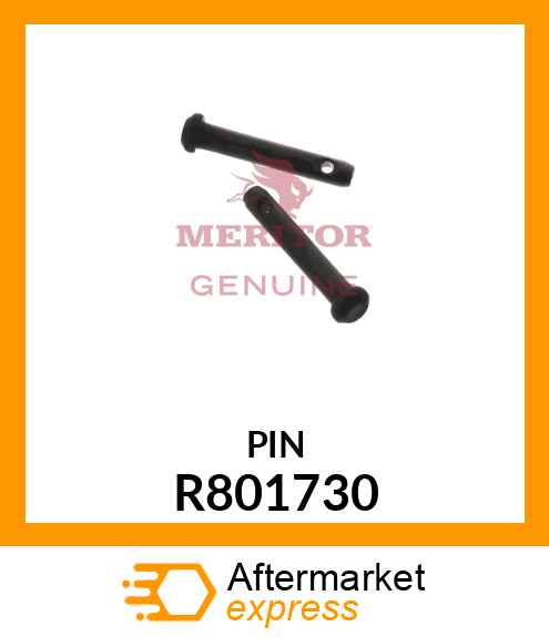 PIN R801730
