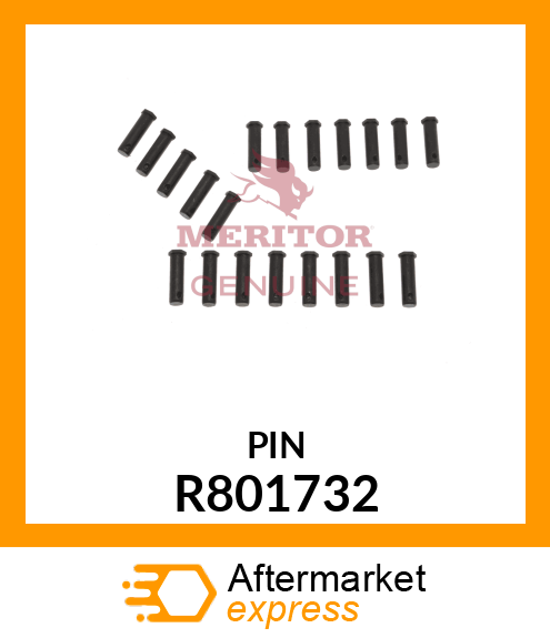 PIN R801732