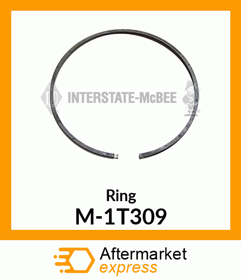 Ring M-1T309