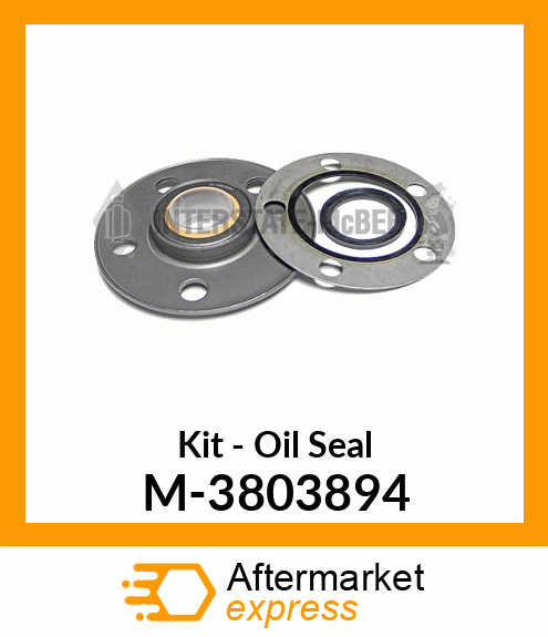 Kit - Oil Seal M-3803894