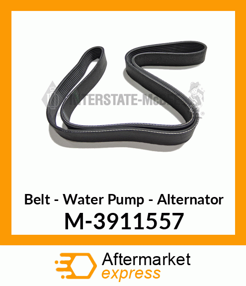 Belt - Waterpump/Alternator M-3911557