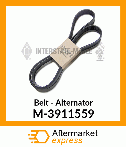 Belt - Alternator M-3911559