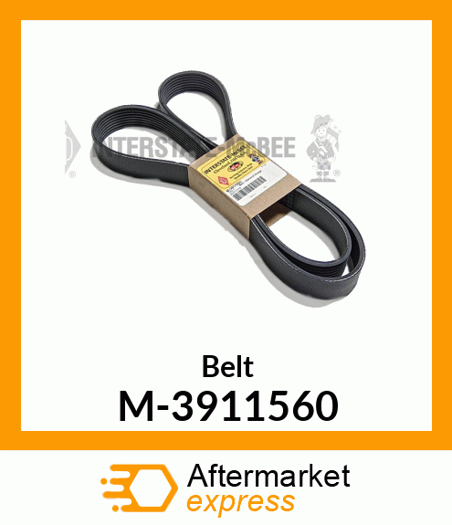 Belt - General Usage M-3911560