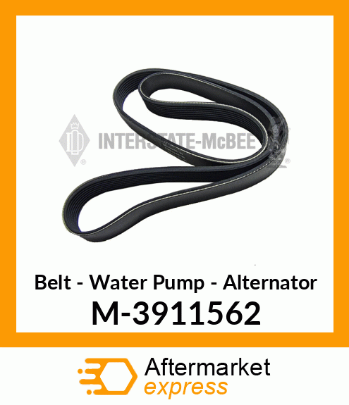 Belt - Waterpump/Alternator M-3911562