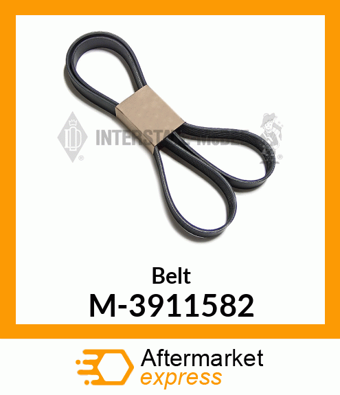 Belt - General Usage M-3911582