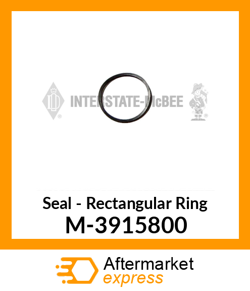 Seal - Rectangular Ring M-3915800