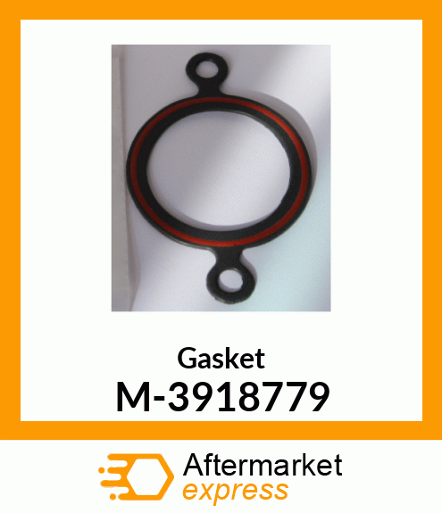 Gasket M-3918779