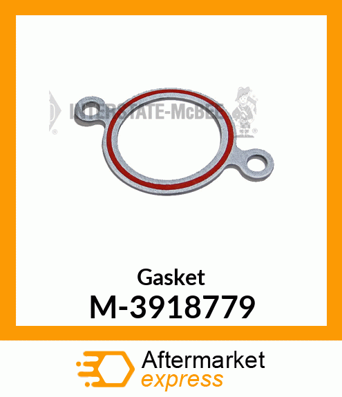 Gasket M-3918779