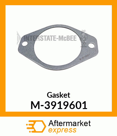 Gasket M-3919601