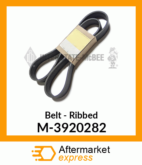 Belt - Ribbed M-3920282