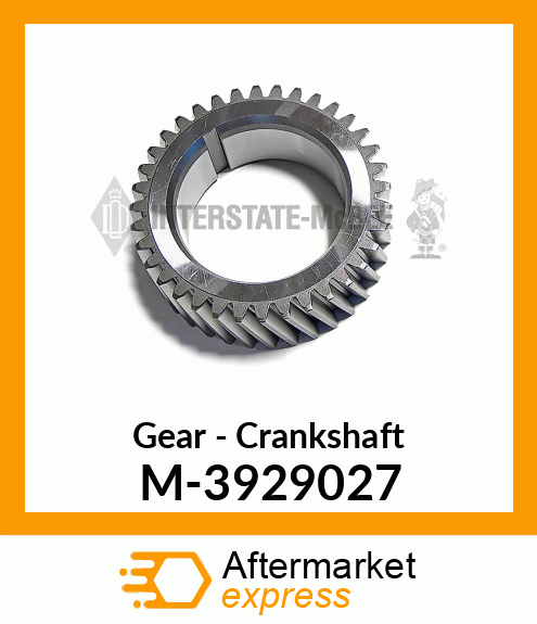 Gear - Crankshaft M-3929027