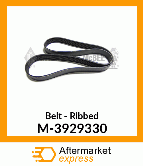 Belt - Ribbed M-3929330