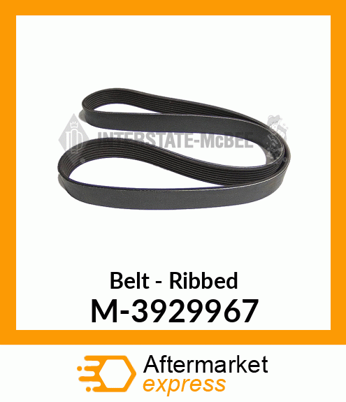 Belt - Ribbed M-3929967