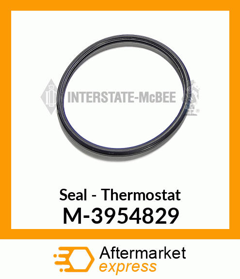 Seal - Thermostat M-3954829