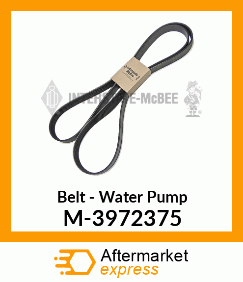 Belt - Water Pump M-3972375