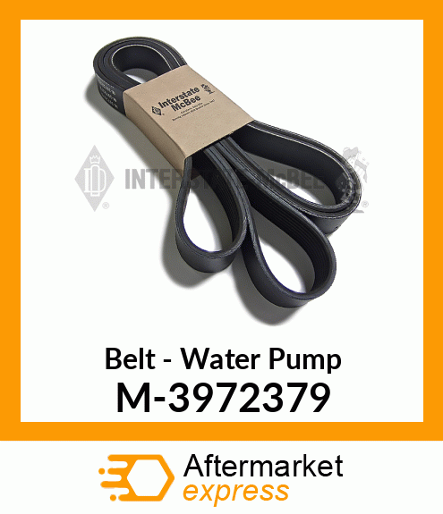 Belt - Water Pump M-3972379