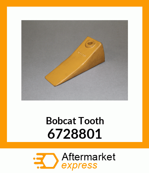Bobcat Tooth 6728801