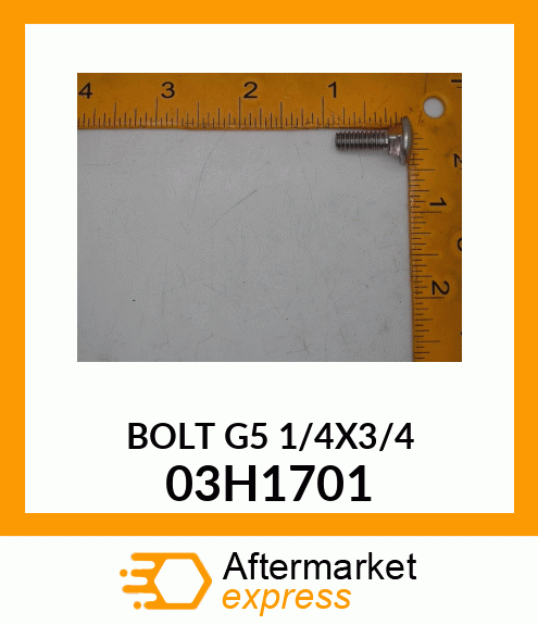 BOLT, ROUND HEAD SQUARE NECK 03H1701