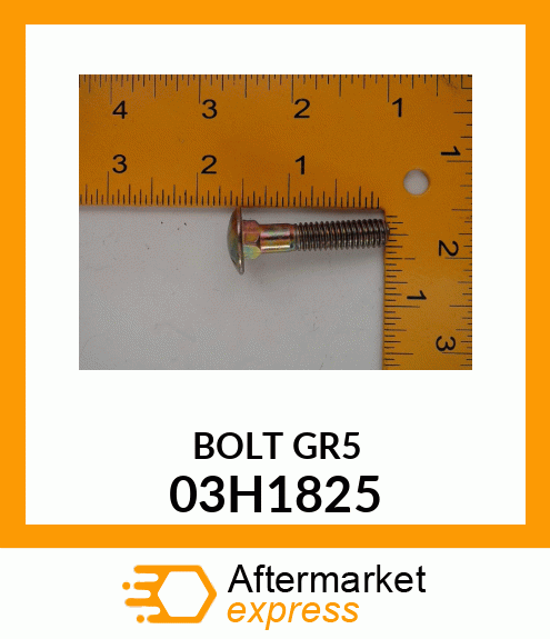 BOLT, ROUND HEAD SQUARE NECK 03H1825