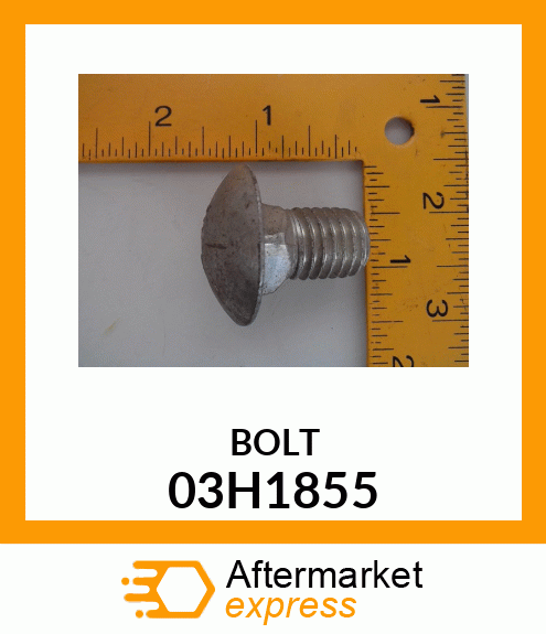 BOLT, ROUND HEAD SQUARE NECK 03H1855