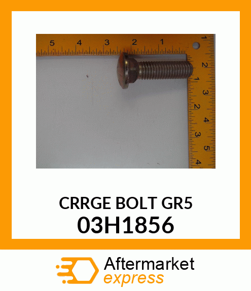 BOLT, ROUND HEAD SQUARE NECK 03H1856