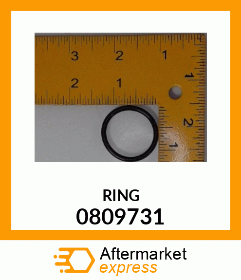 RING 0809731