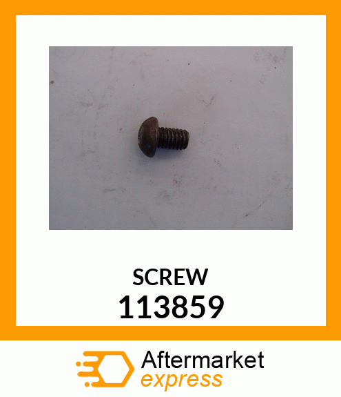 SCREW 113859