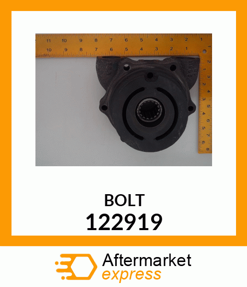 BOLT 122919