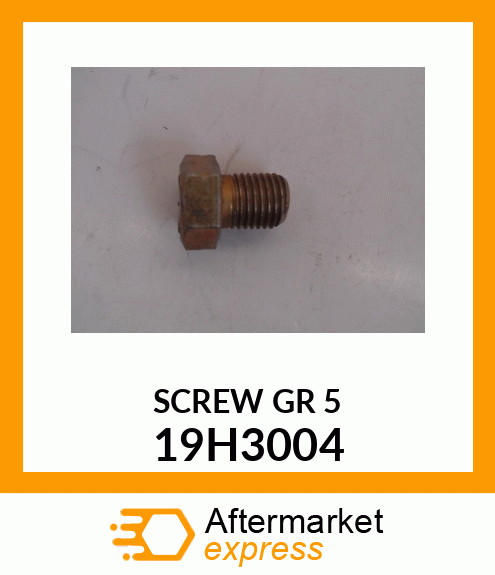 SCREW, HEX HEAD 19H3004