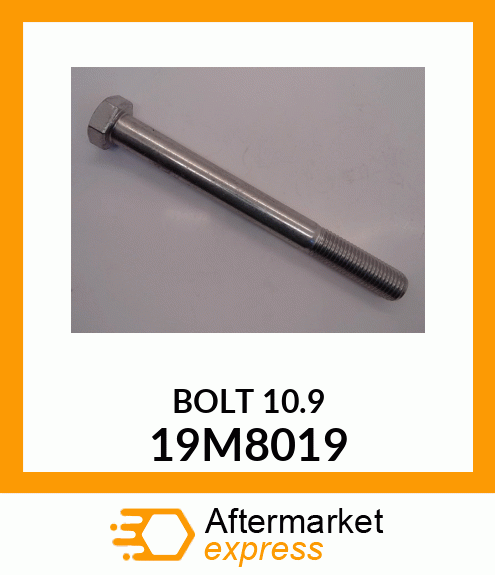 SCREW, HEX HEAD, METRIC 19M8019