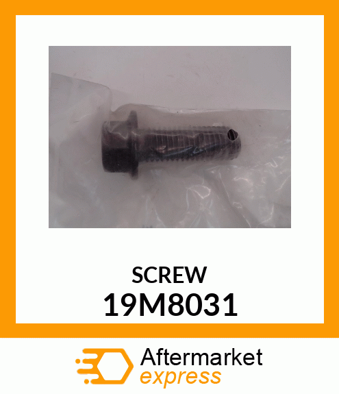 SCREW, HEX 19M8031