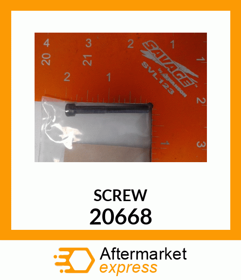 SCREW 20668