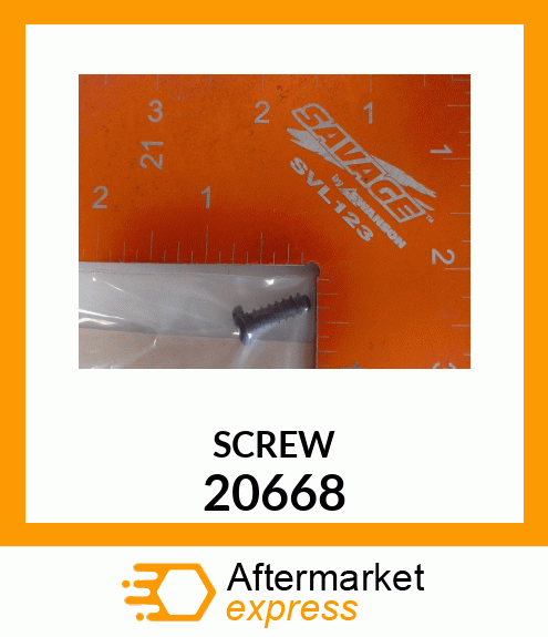 SCREW 20668