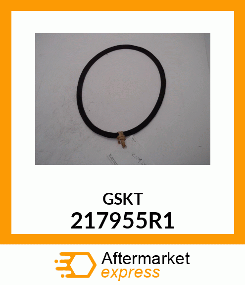 GSKT 217955R1