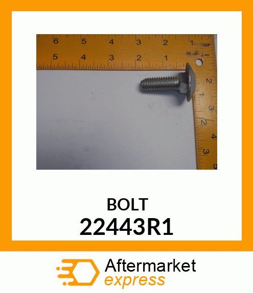 BOLT 22443R1