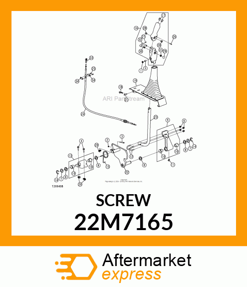 SCREW, SET, METRIC, HEX SKT HDLS 22M7165