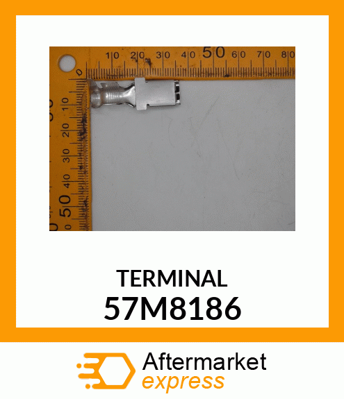 MTA TERMINAL FOR FUSE HOLDER 57M8186