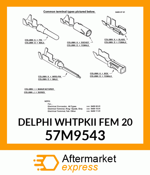 DELPHI WHTPKII FEM 20 57M9543