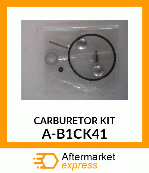 CARBURETOR_KIT_ A-B1CK41