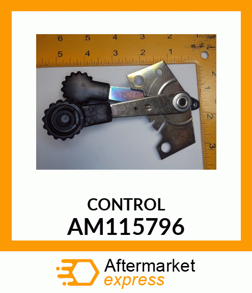 Control AM115796