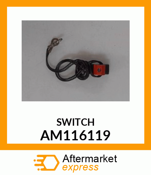 Switch AM116119